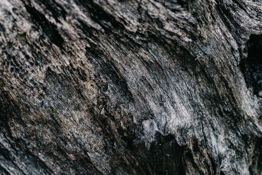 刮痧板跟按摩梳到底该买哪个？两样都做了十几年的我说句实话